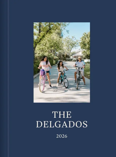 The Delgados Tidbit cover